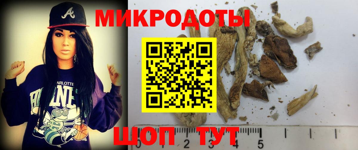 Галлюциногенные грибы MAGIC MUSHROOMS  Вход с VPN  Таганрог 